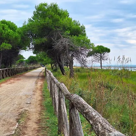 Appartamento Feel At In With Fenced Garden *