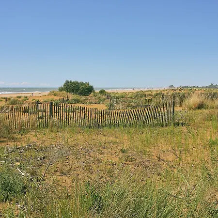 Feel At In With Fenced Garden Lejlighed *