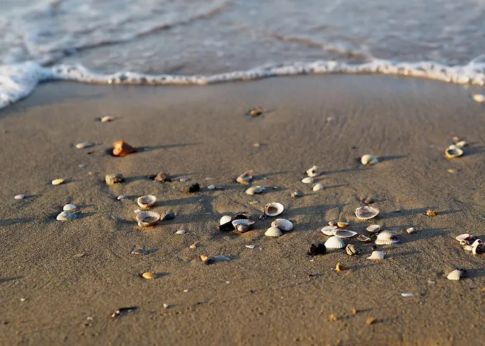 Feel At In With Fenced Garden