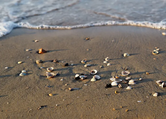 Feel At In With Fenced Garden Apartament Bibione